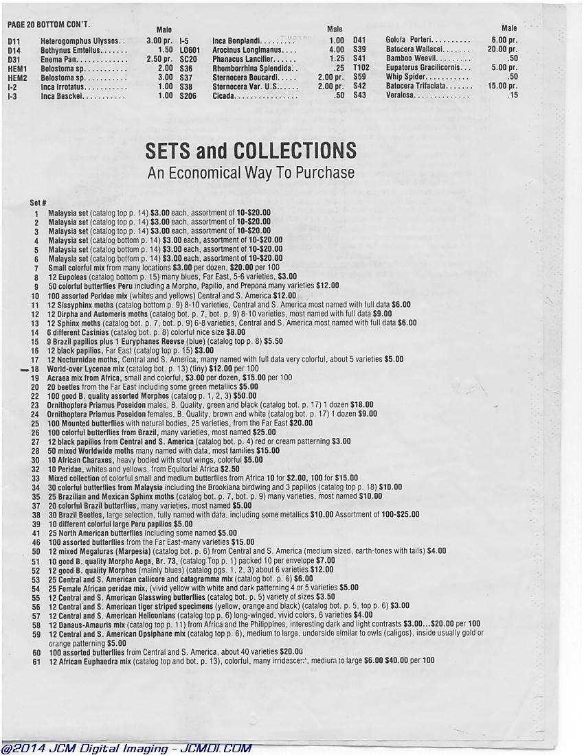 The Butterfly Company (NY) 20 page catalog 1978